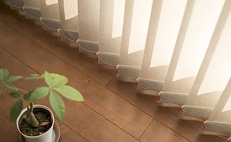 d3
