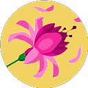 ilay şahin profile picture